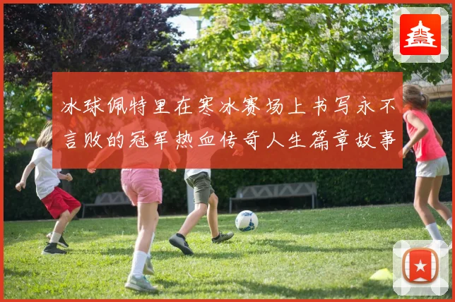 冰球佩特里在寒冰赛场上书写永不言败的冠军热血传奇人生篇章故事