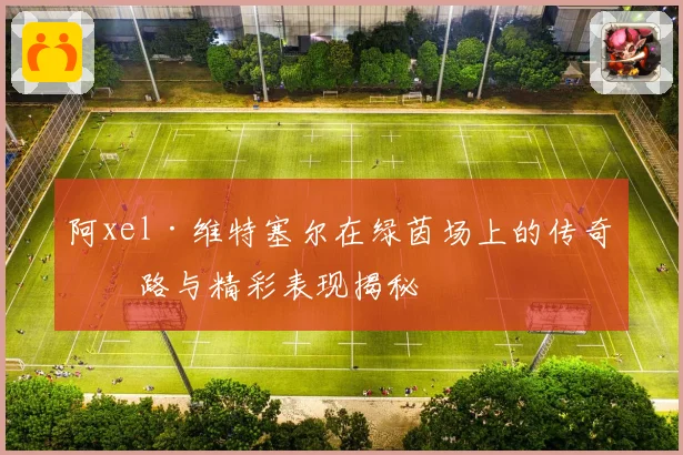 阿xel·维特塞尔在绿茵场上的传奇之路与精彩表现揭秘