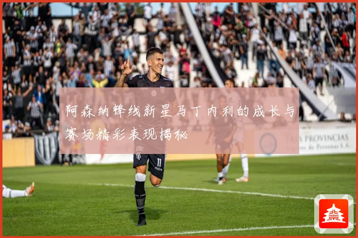 阿森纳锋线新星马丁内利的成长与赛场精彩表现揭秘