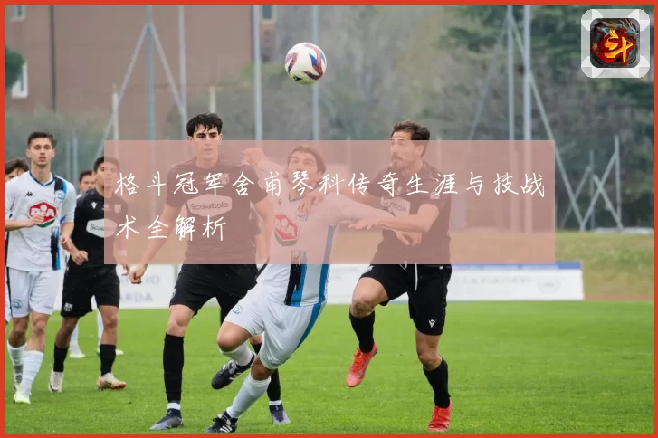 格斗冠军舍甫琴科传奇生涯与技战术全解析