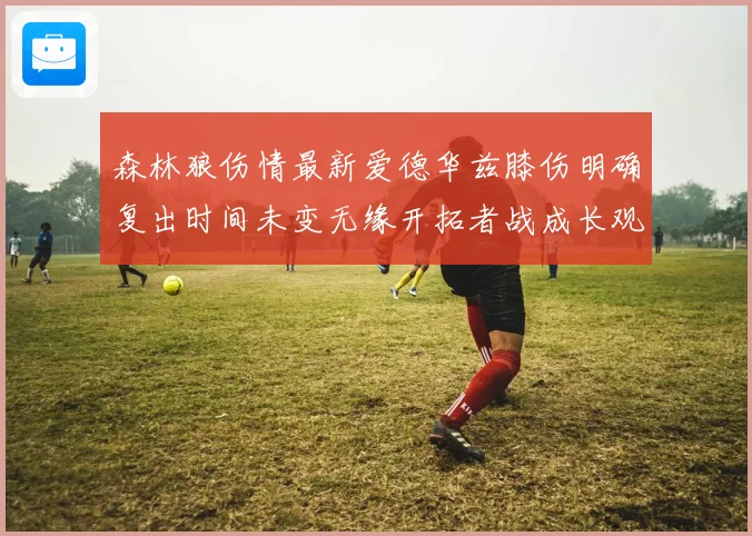 森林狼伤情最新爱德华兹膝伤明确复出时间未变无缘开拓者战成长观察