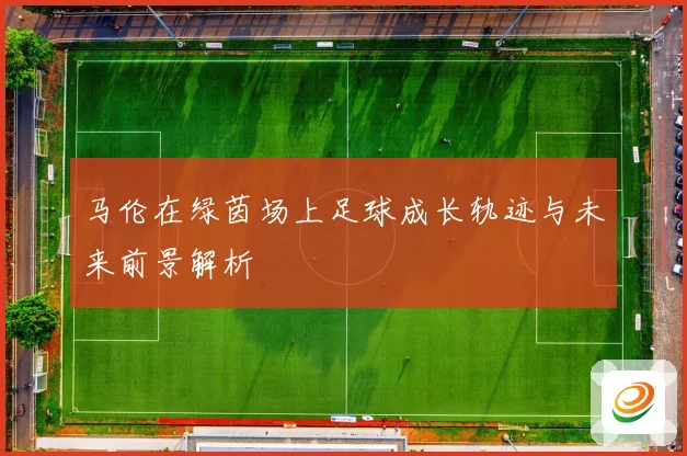 马伦在绿茵场上足球成长轨迹与未来前景解析