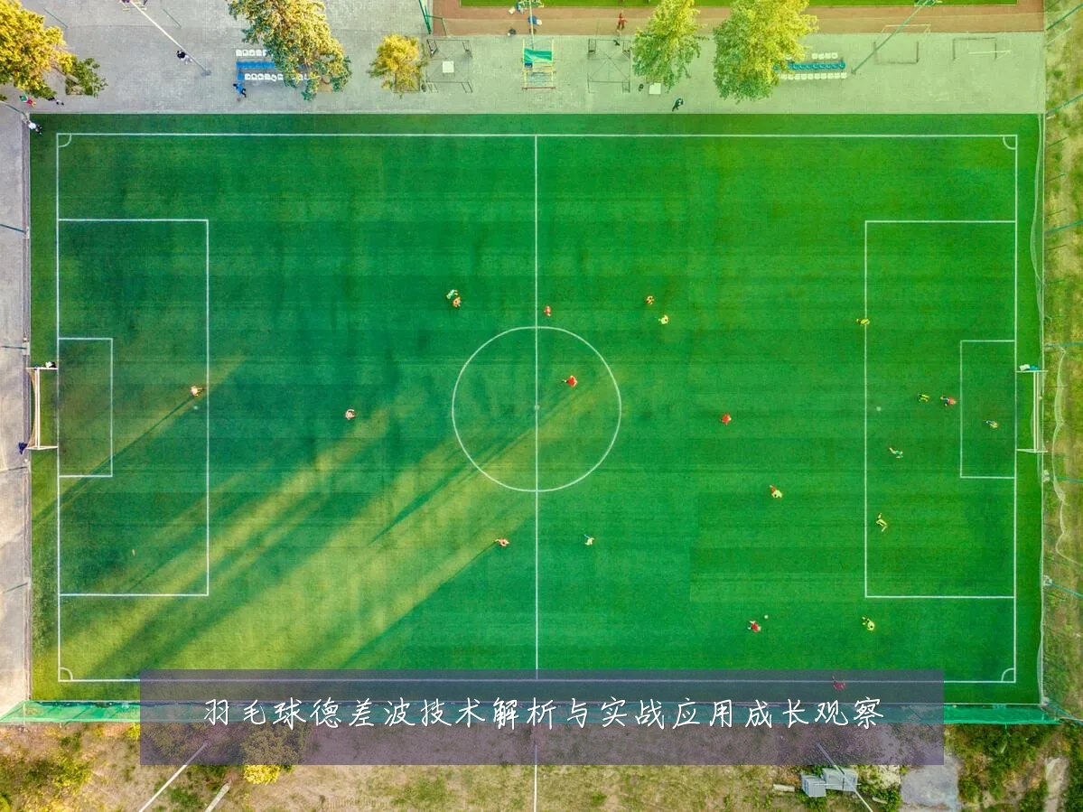 羽毛球德差波技术解析与实战应用成长观察